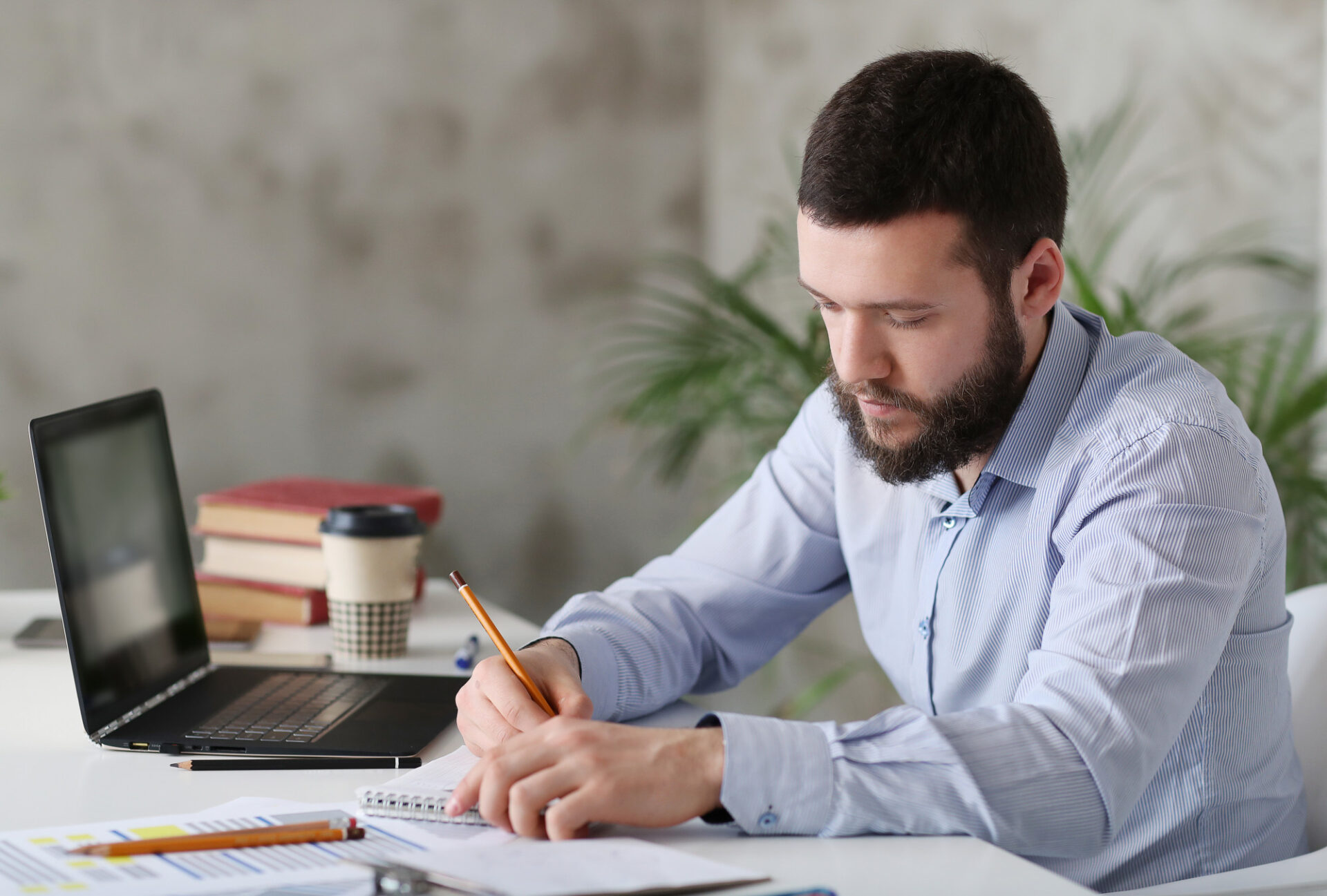 study abroad consultants