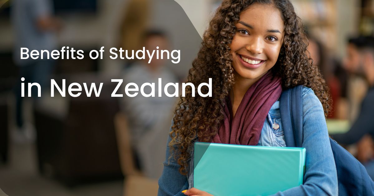 benefits of studying in New Zealand