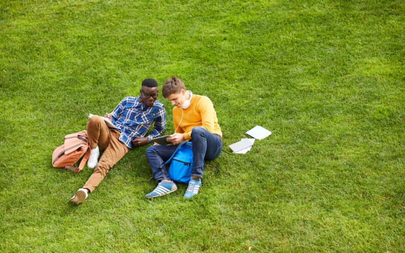 Study in New Zealand without IELTS