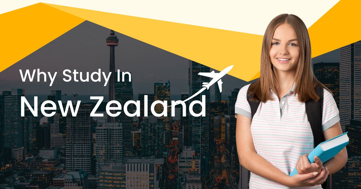 why study in new zealand