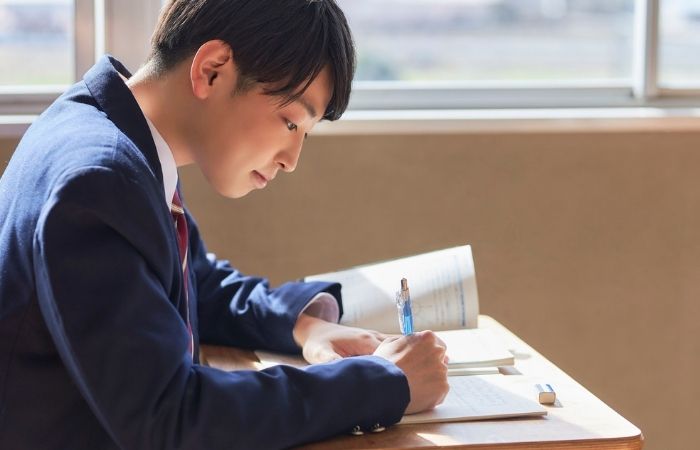 Understanding the IELTS Price in Ireland